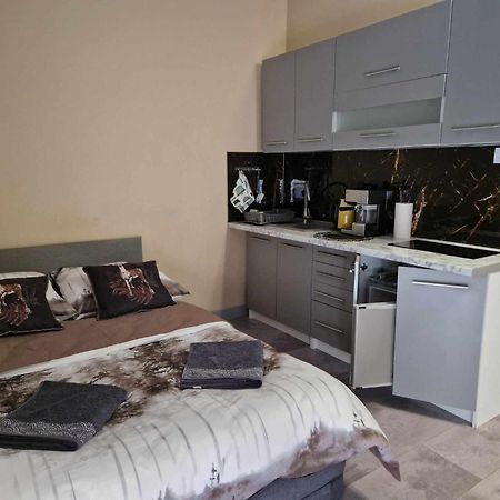 Appartement Lesny Zakatek Nr 2 à Radzyń Extérieur photo